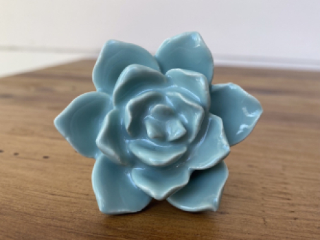 Möbelknopf 5 cm