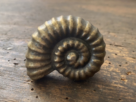 Möbelknopf 4,5 cm