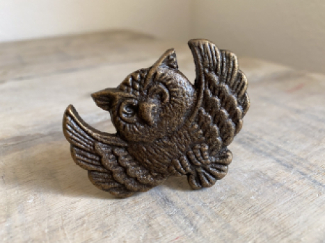 Möbelknopf 5,5 cm