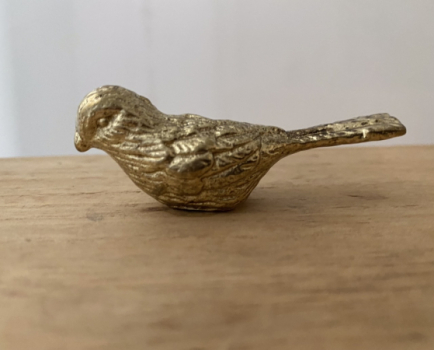 Möbelknopf 6,3 cm