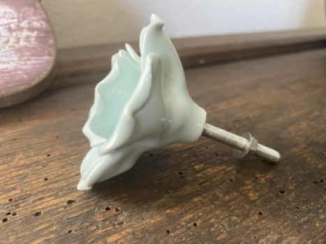 Möbelknopf 5,5 cm
