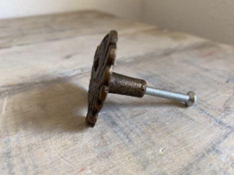 Möbelknopf 5,5 cm