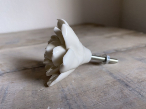 Möbelknopf 5,5 cm