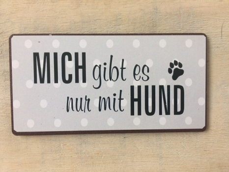 Magnet