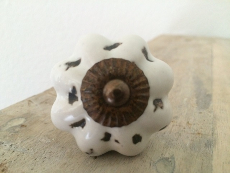 Möbelknopf 5 cm