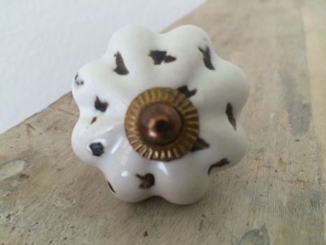 Möbelknopf 5 cm