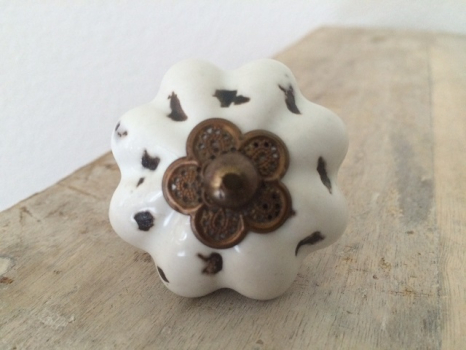 Möbelknopf 5 cm