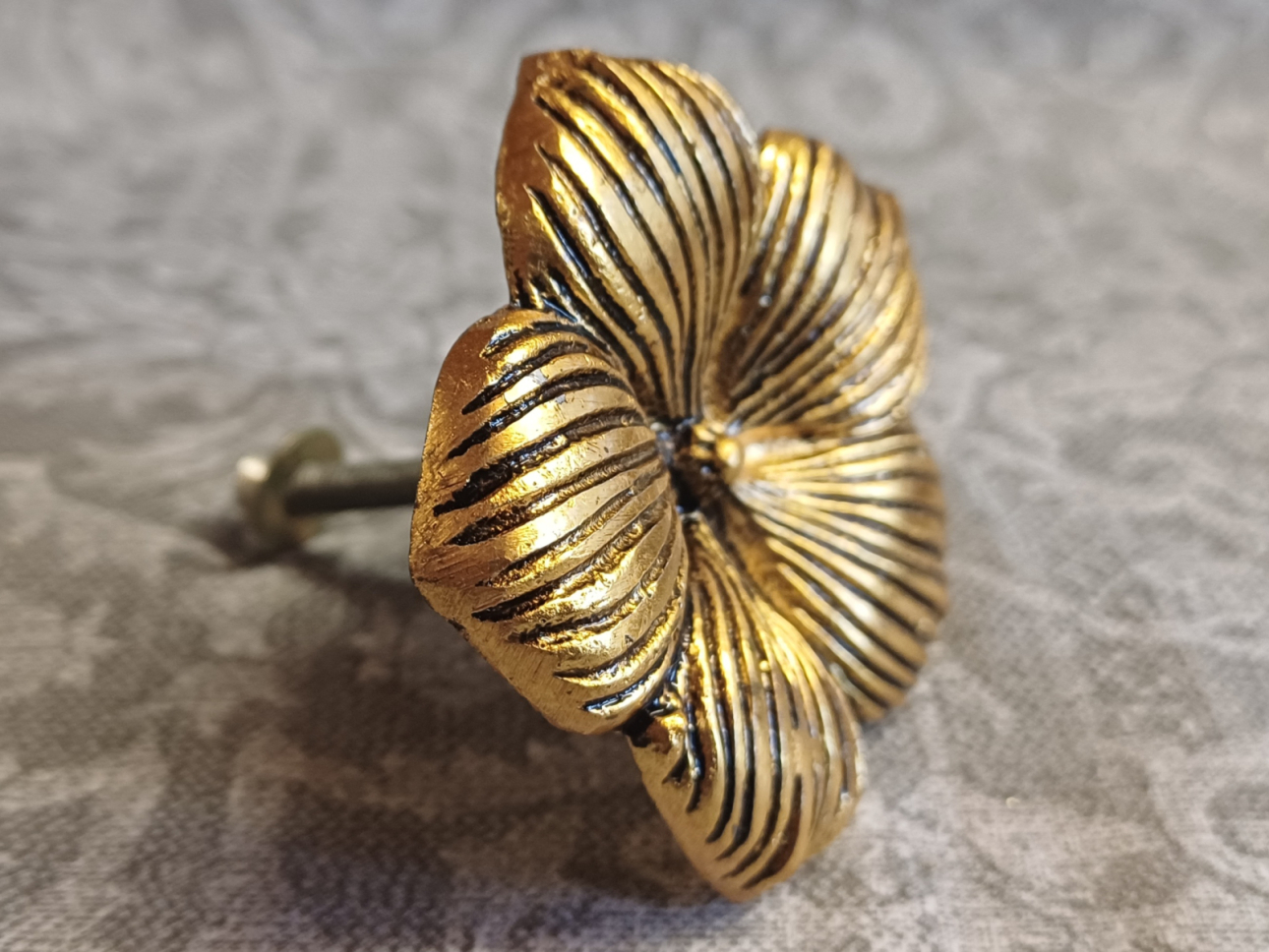 Möbelknopf 6cm