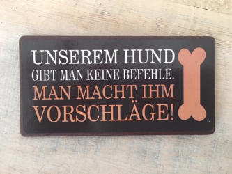 Magnet