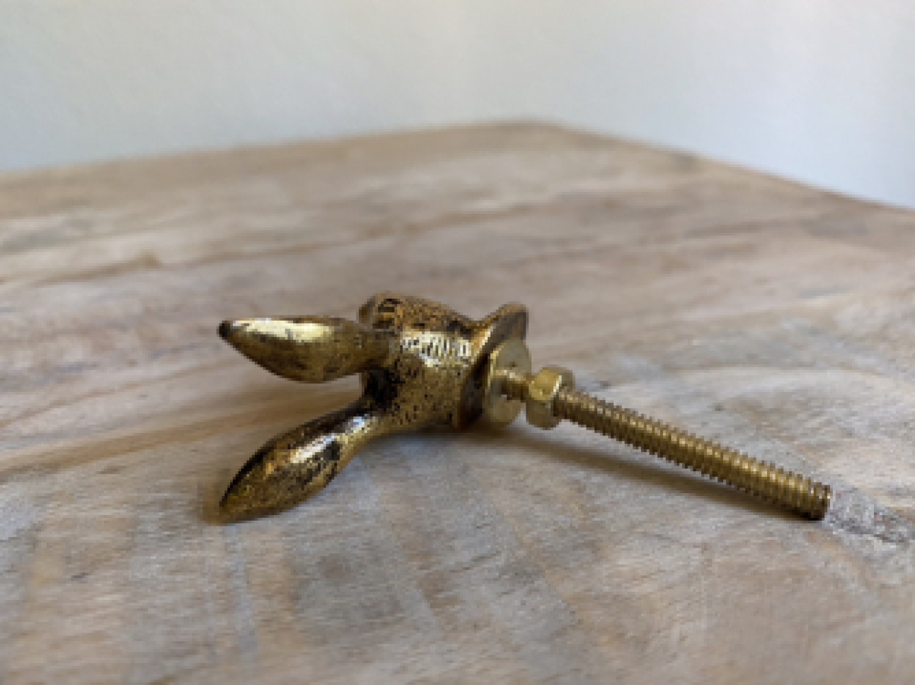 Möbelknopf 5 cm