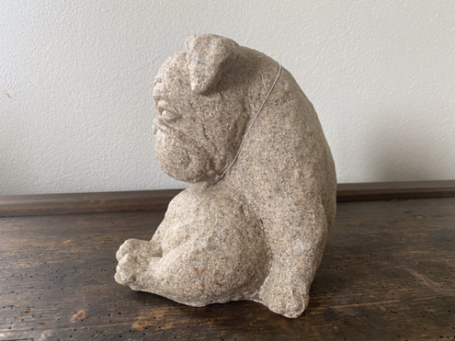 English Bulldog Welpe