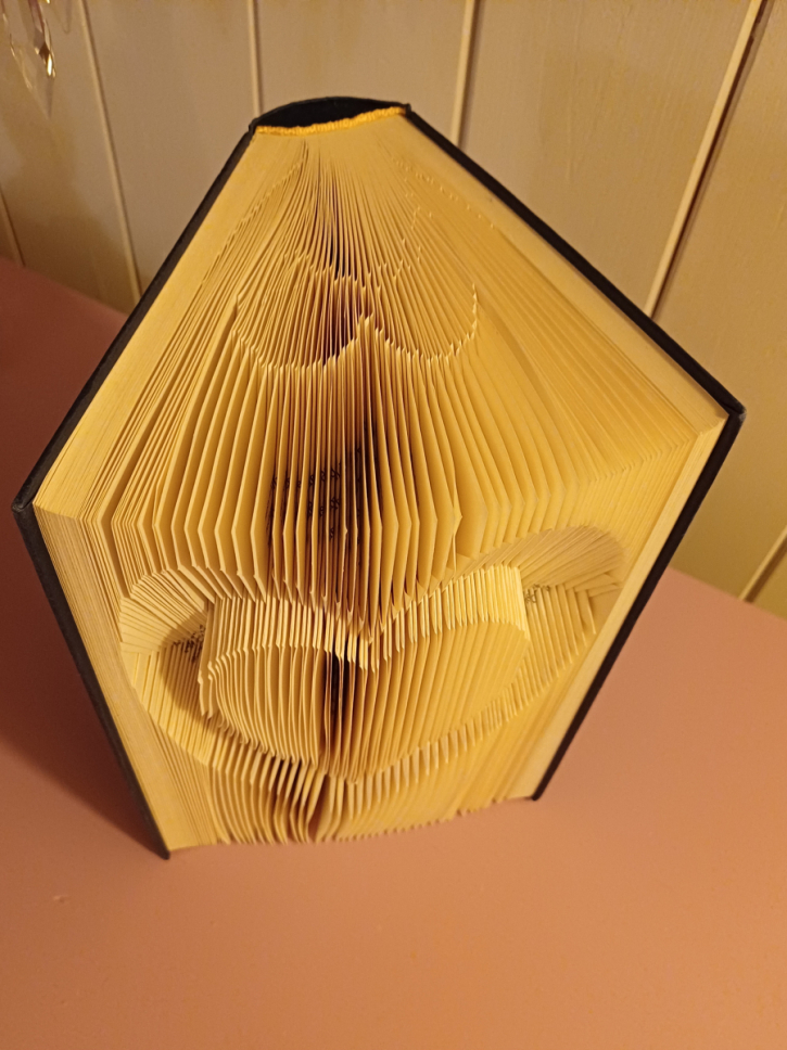 Bookfolding Art