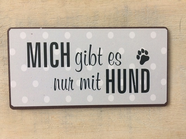 Magnet