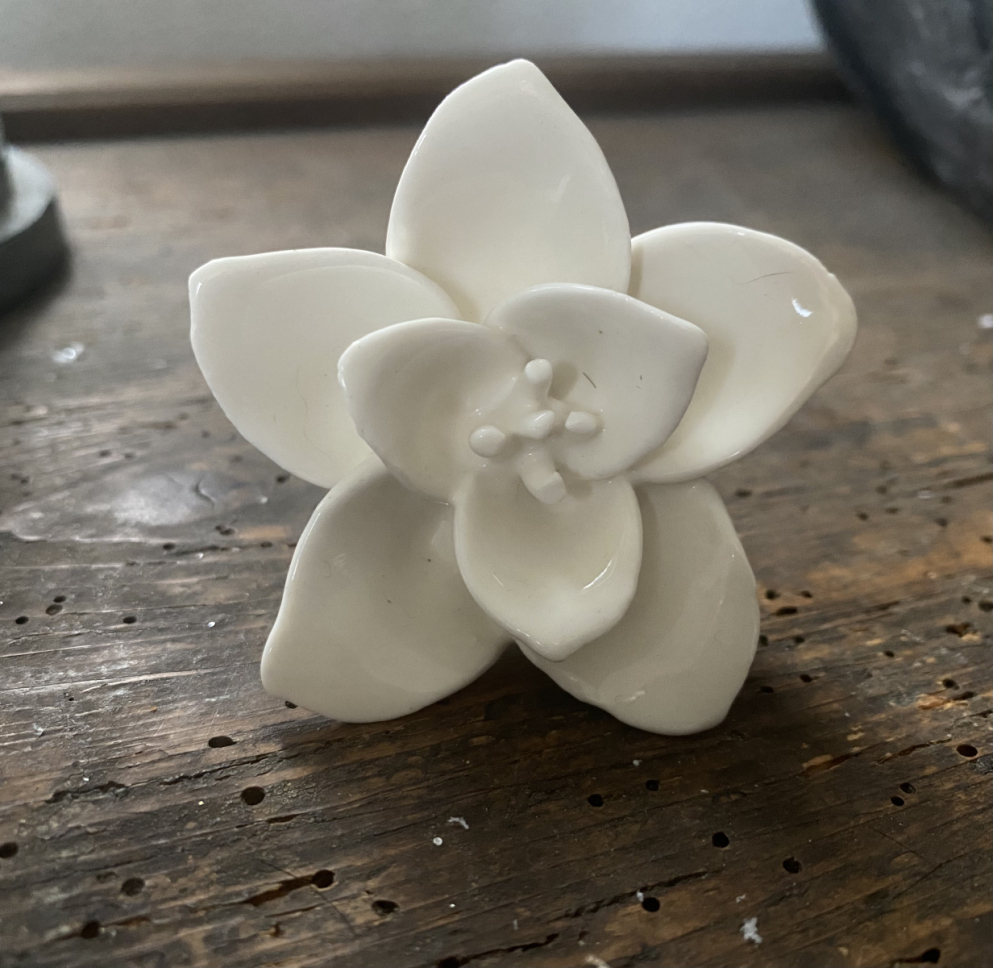 Möbelknopf 6 cm