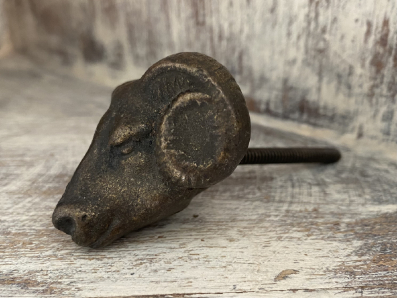 Möbelknopf 5 cm